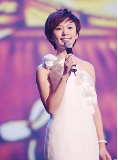 中国最漂亮的女主持人，璀璨闪耀的荧屏之星，中国最美女主持人，荧屏之星璀璨闪耀