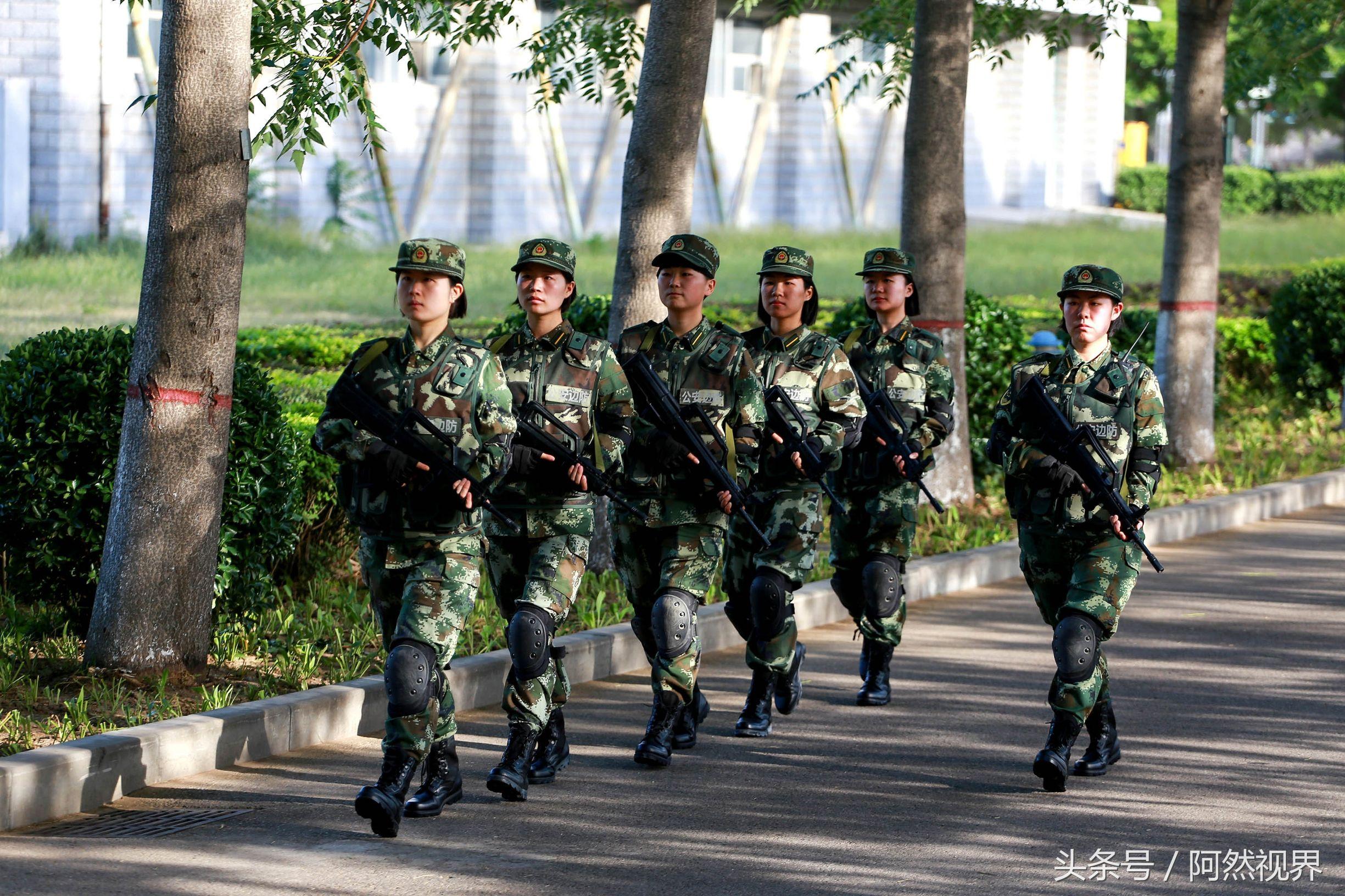 中国武装部队警察学院,培育警界精英的摇篮,中国武装部队警察学院,警界精英的摇篮