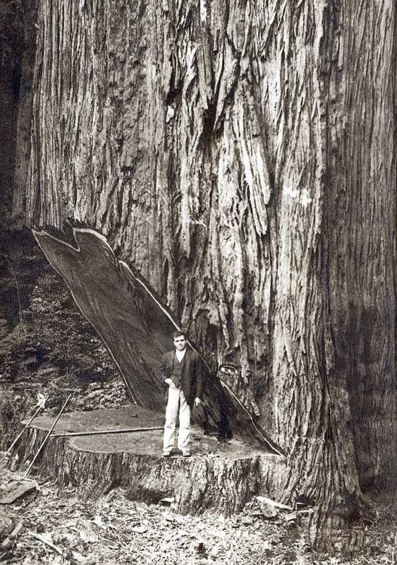 美国的西部州群概览,美国西部州群概览介绍