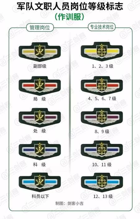 军衔胸标图解，揭示军事荣誉与等级制度，军衔胸标详解，军事荣誉与等级制度一览图