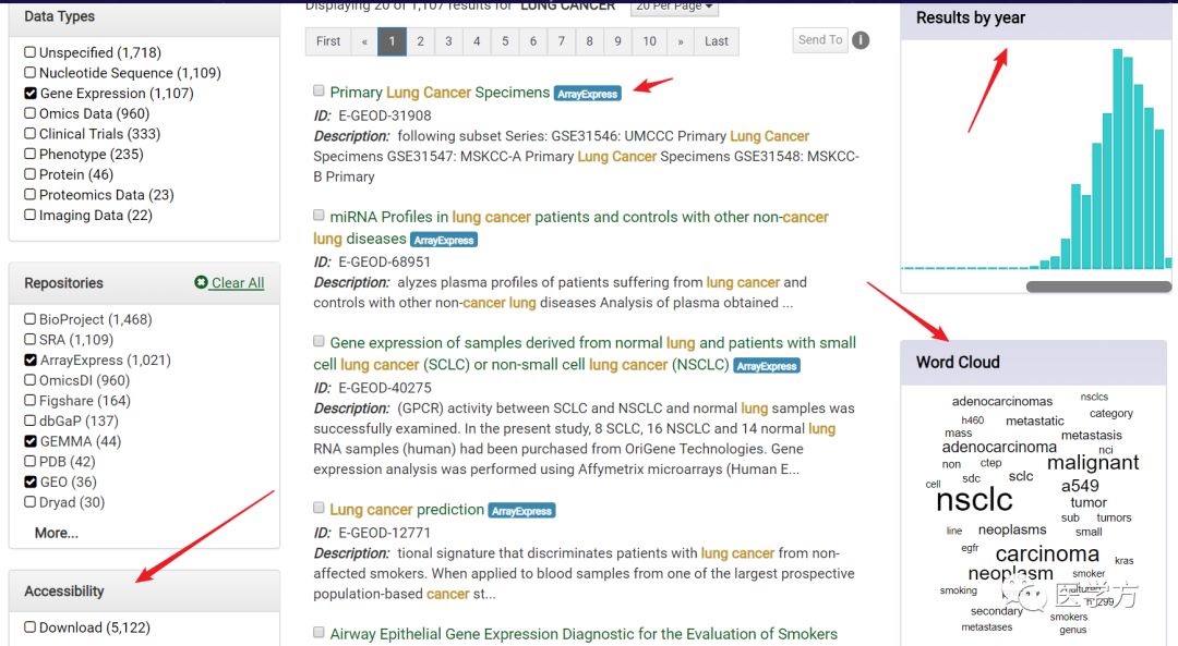 搜索引擎数据库,探索与应用,搜索引擎数据库的深度探索与应用实践