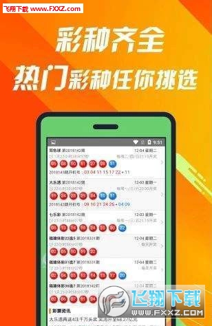 王中王精选一肖码，揭秘背后的故事与意义，王中王精选一肖码背后的故事与意义揭秘