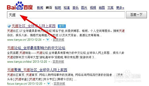 天涯论坛的进入路径及其网络社区的魅力，天涯论坛的进入路径与社区魅力探索