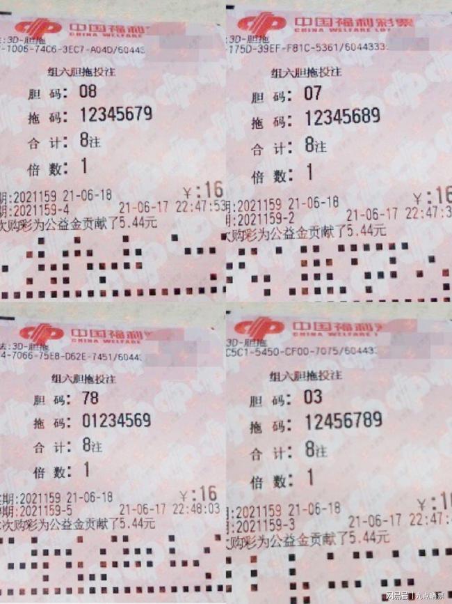 刘伯温精选一肖，小小年纪的传奇人生，刘伯温传奇人生，一肖之选，少年天才之路