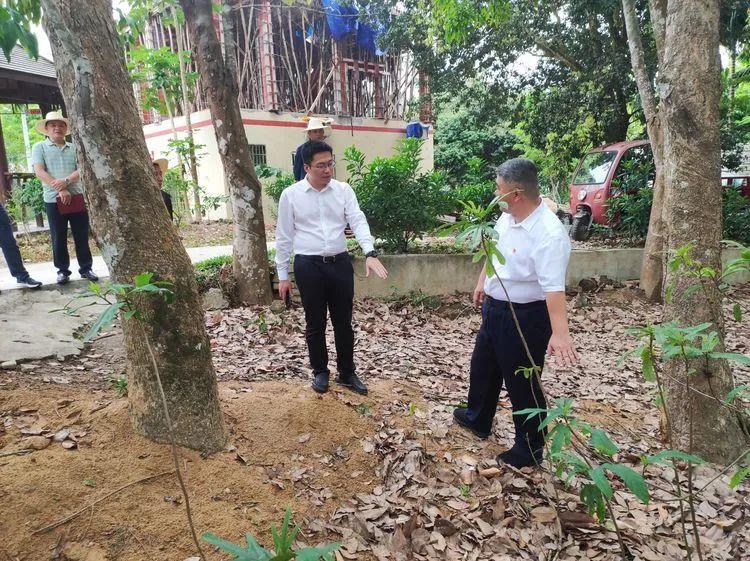 每日国际新闻在哪里看,多元渠道下的全球资讯获取,多元渠道下的全球资讯获取,每日国际新闻观看指南