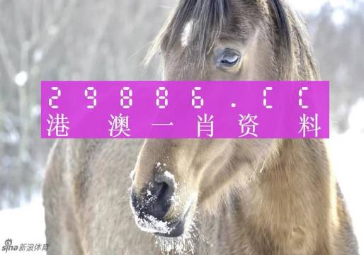 澳门一肖一码，揭秘精准背景故事背后的传奇，澳门一肖一码，揭秘传奇背后的精准背景故事