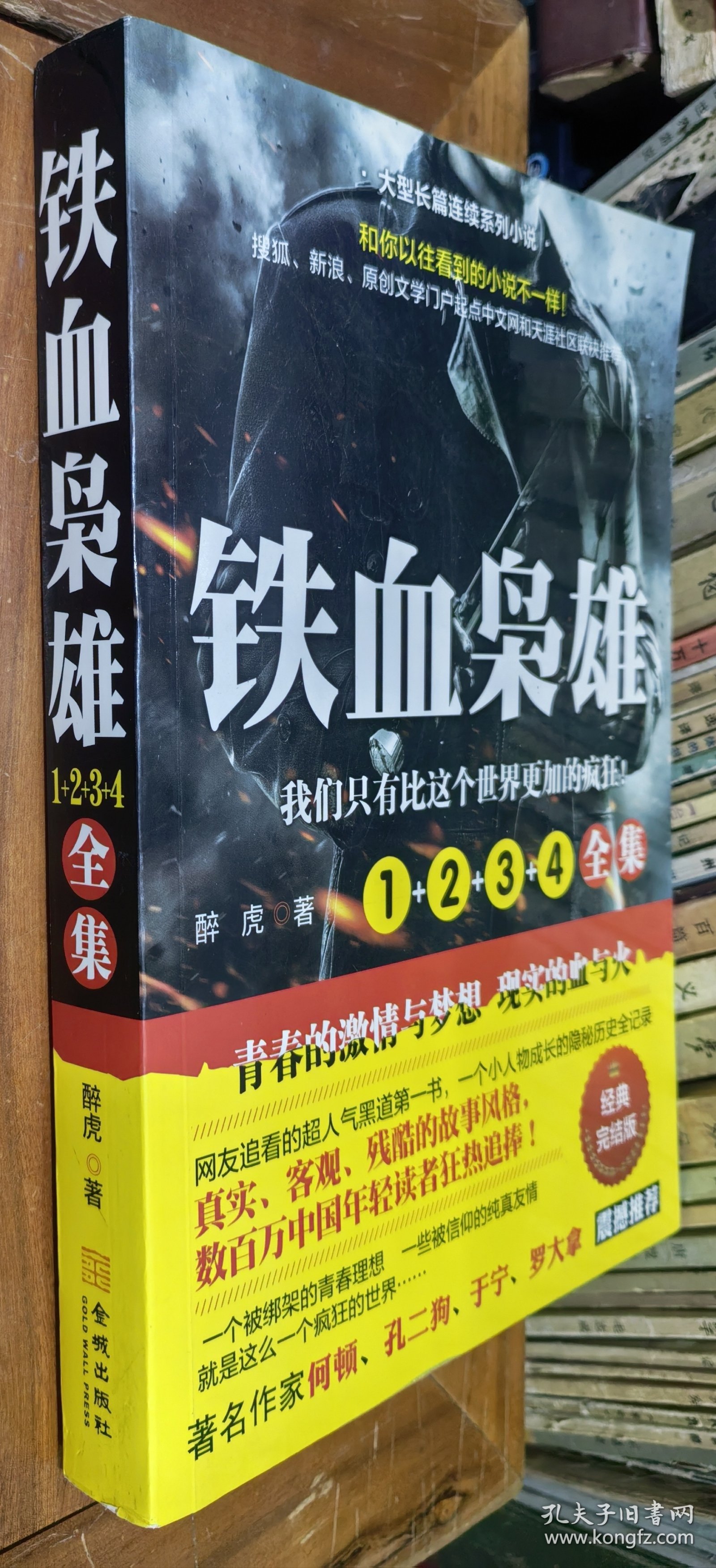 铁血抗日女营长——最新章节的英勇传奇，铁血抗日女营长，英勇传奇的最新章节