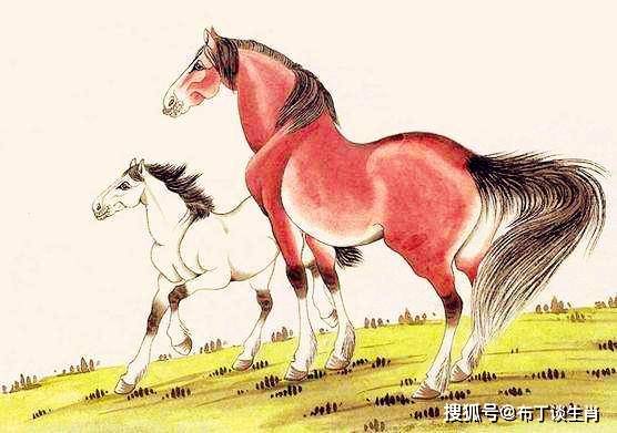 买马打一生肖王中王，探寻生肖马背后的文化寓意与故事，生肖马，文化寓意与故事探寻，马王中的王者之谜