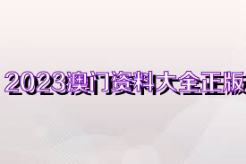 新澳门资料大全正版资料2023年全新解析，澳门正版资料大全解析，全新解析2023年澳门资料汇总