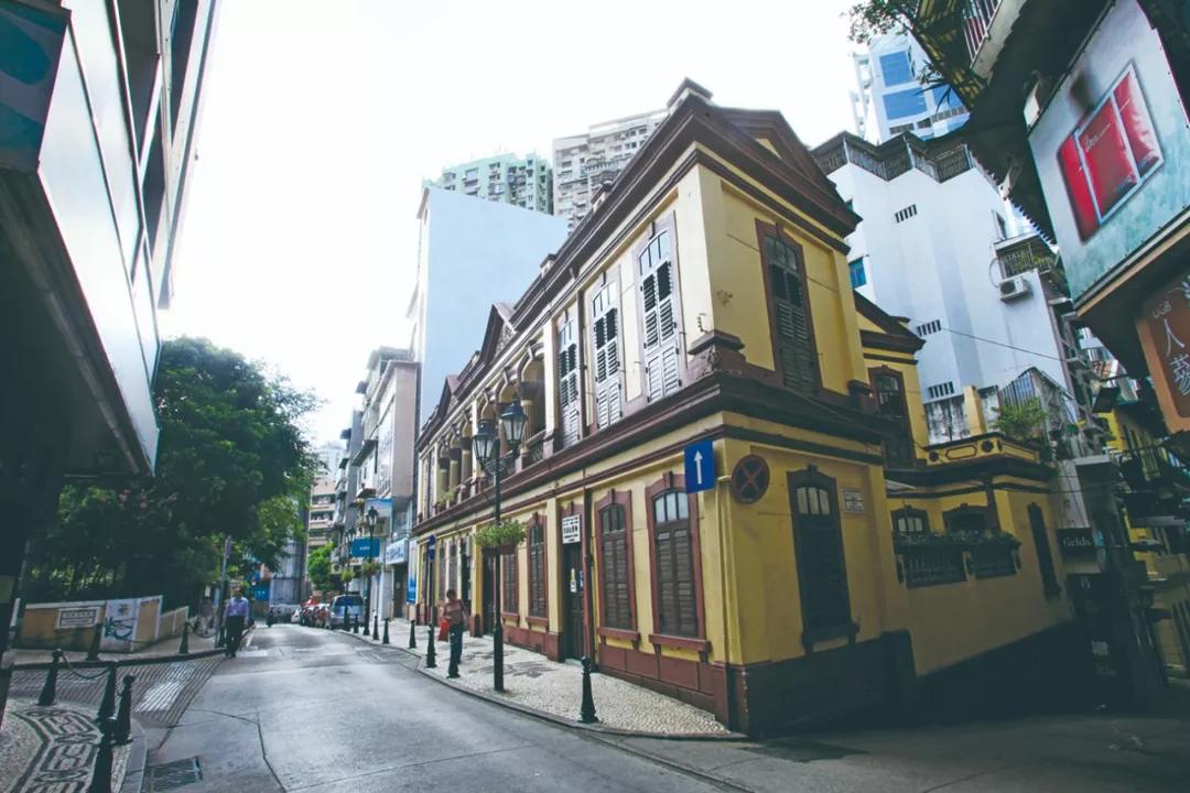 澳门今晚必开一肖，探索生肖彩票的魅力与玄机，澳门生肖彩票探索，魅力与玄机之夜揭秘必开一肖