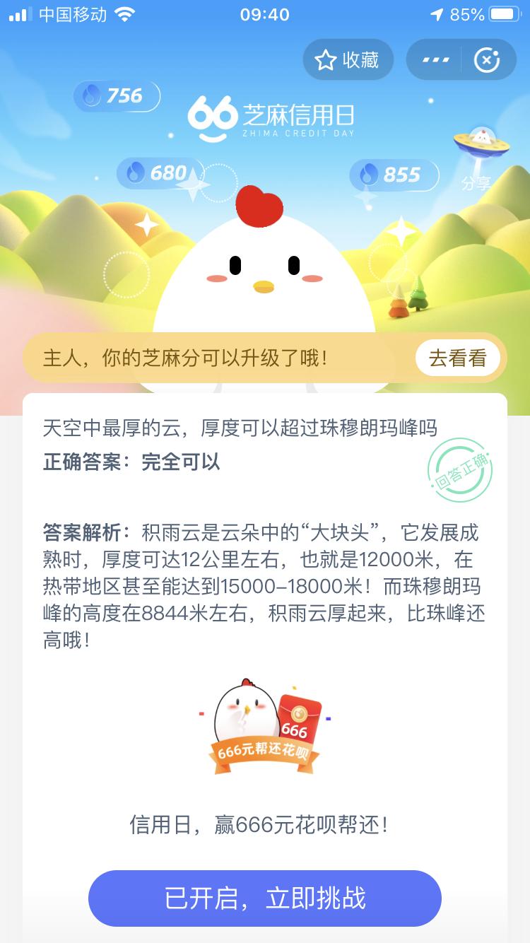 今天支付宝小鸡去哪了?探寻神秘消失的支付宝小鸡之旅,探寻消失的支付宝小鸡,揭秘小鸡神秘消失之旅