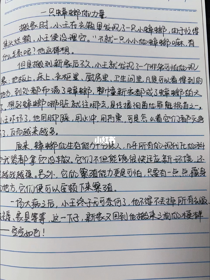 小故事中的大道——摘抄一段人生智慧之旅,小故事中的智慧之旅,人生智慧的点滴摘抄