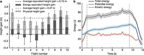 涡桦发动机飞机,飞行动力之独特魅力,涡桦发动机飞机,揭示飞行动力之独特魅力