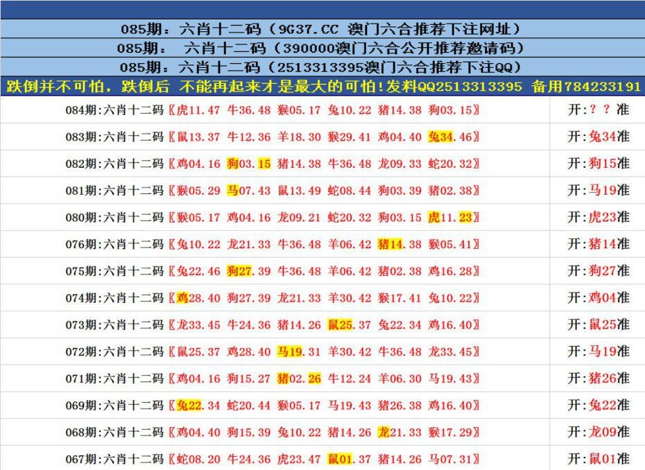 澳门六合正版资料，探索与解读，澳门六合正版资料深度解读与探索