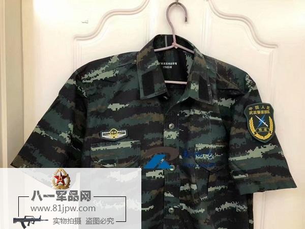 武警虎斑迷彩的魅力与力量，武警虎斑迷彩，魅力与力量的展现