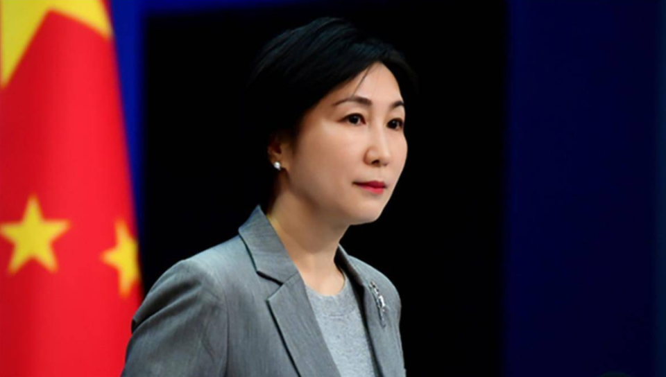 中央新闻发言人毛宁的简历，一位才华横溢的新闻领袖，中央新闻发言人毛宁，才华横溢的新闻领袖简历