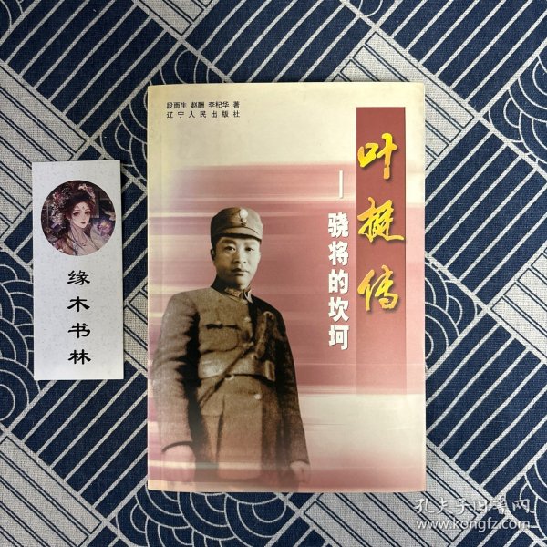 叶铤，一位传奇人物的多面解读，叶铤，传奇人物的多维度解读