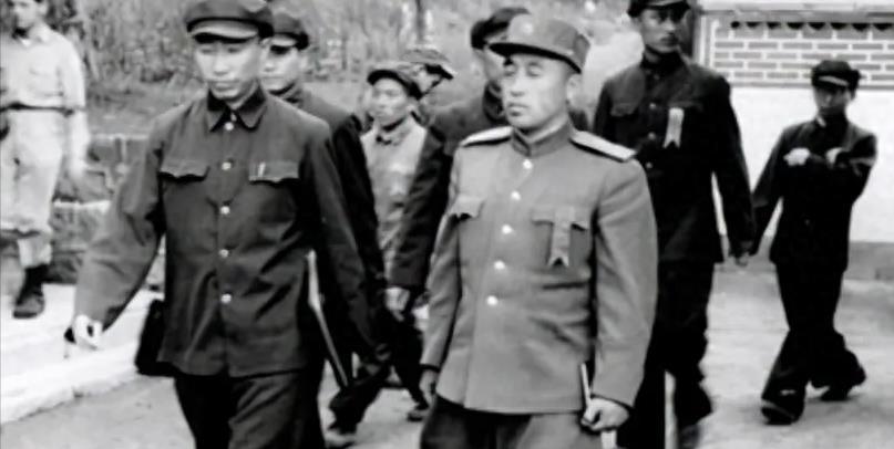 海南岛战役简介及其相关军队概述，海南岛战役概览与参与军队概述