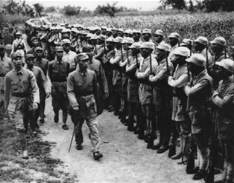 海南岛战役简介及其相关军队概述,海南岛战役概览与参与军队概述