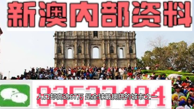 探索澳门未来，2025新澳门正版免费资料，澳门未来展望，2025新正版免费资料探索