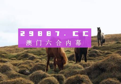 澳门六开彩结果，探索与解析（XXXX年最新分析），澳门六开彩结果最新解析与探索（XXXX年深度分析）