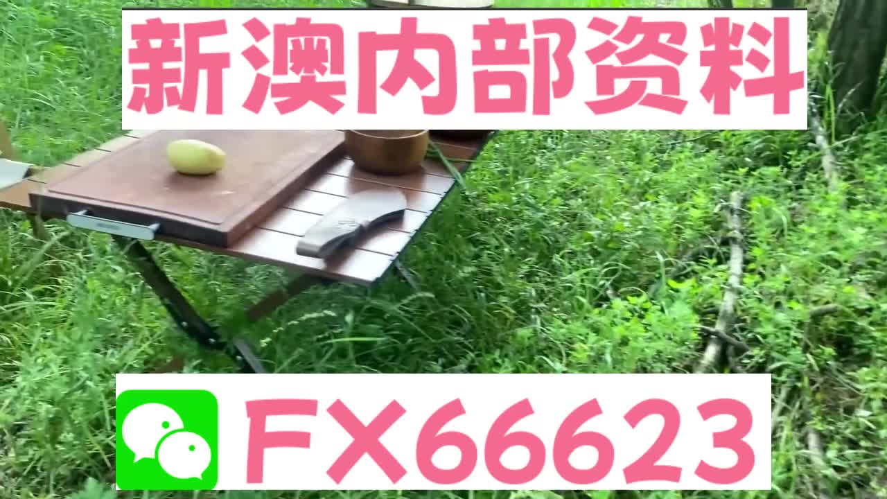 新奥天天精准资料大全，探索与解析，新奥天天精准资料大全，深度探索与全面解析