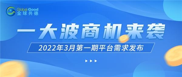 环球视线最新一期，聚焦全球热点事件与趋势分析，环球视线聚焦全球热点事件与趋势分析深度解读