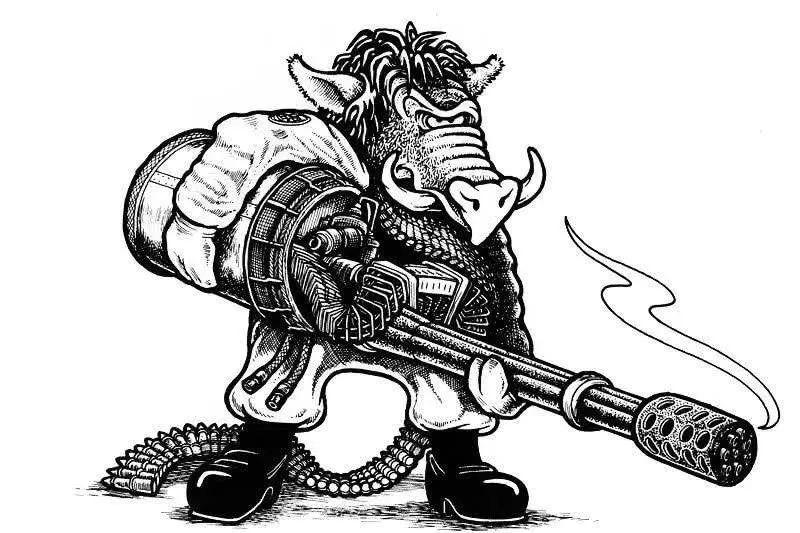 超级疣猪攻击机,空中力量的独特支柱,超级疣猪攻击机,空中力量的独特支柱解析