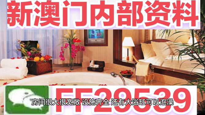 澳门彩票开奖记录，探索与解析（XXXX年回顾），澳门彩票开奖记录回顾与展望，XXXX年深度解析与探索