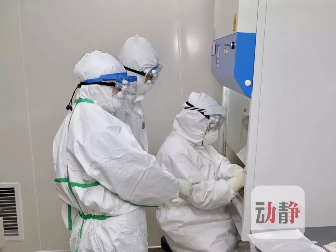 中部战区总医院核酸检测，捍卫健康的坚实屏障，中部战区总医院核酸检测，健康守护的坚实屏障