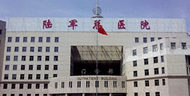 军改各部队新番号分析,军改后各部队新番号深度解析