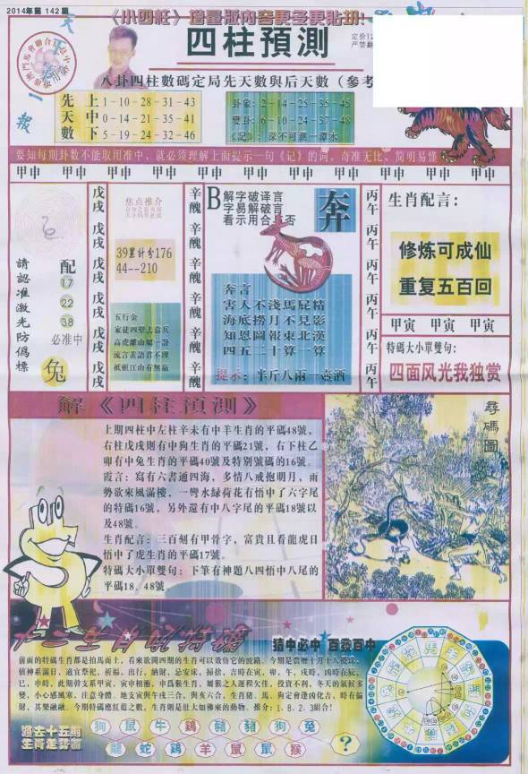 王中王四肖精选一肖页，深度解析与预测，王中王四肖精选深度解析与预测，一肖页的独到见解