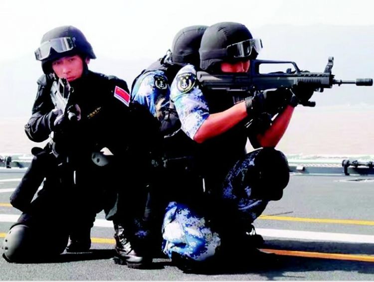 杨环杰蛟龙突击队，铁血团队的荣耀与传奇，杨环杰铁血突击队，荣耀与传奇的蛟龙团队