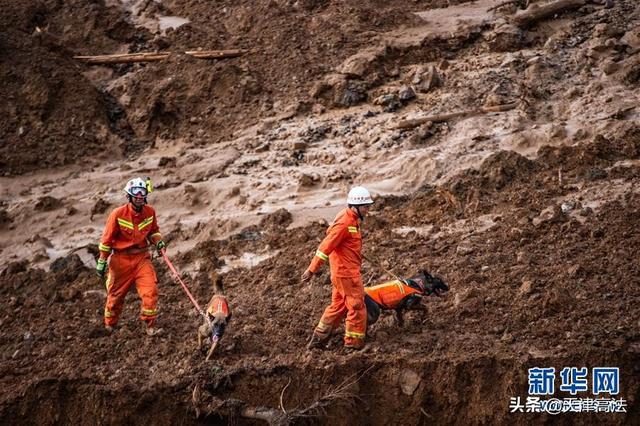 最新消息关于贵州山体滑坡的严峻挑战与应对策略，贵州山体滑坡挑战严峻，应对策略揭秘