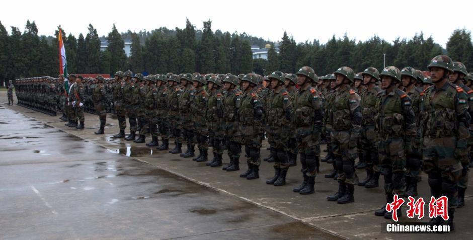 云南第14集团军总兵力概况研究，云南第14集团军总兵力概况深度解析