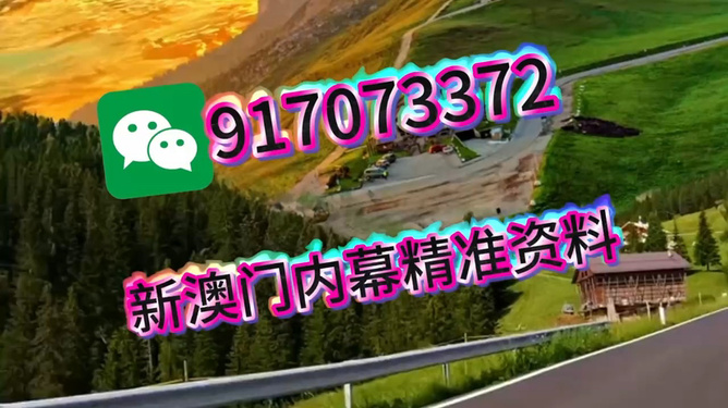 澳门王中王与一肖中的奥秘，澳门王中王与一肖的神秘奥秘探索