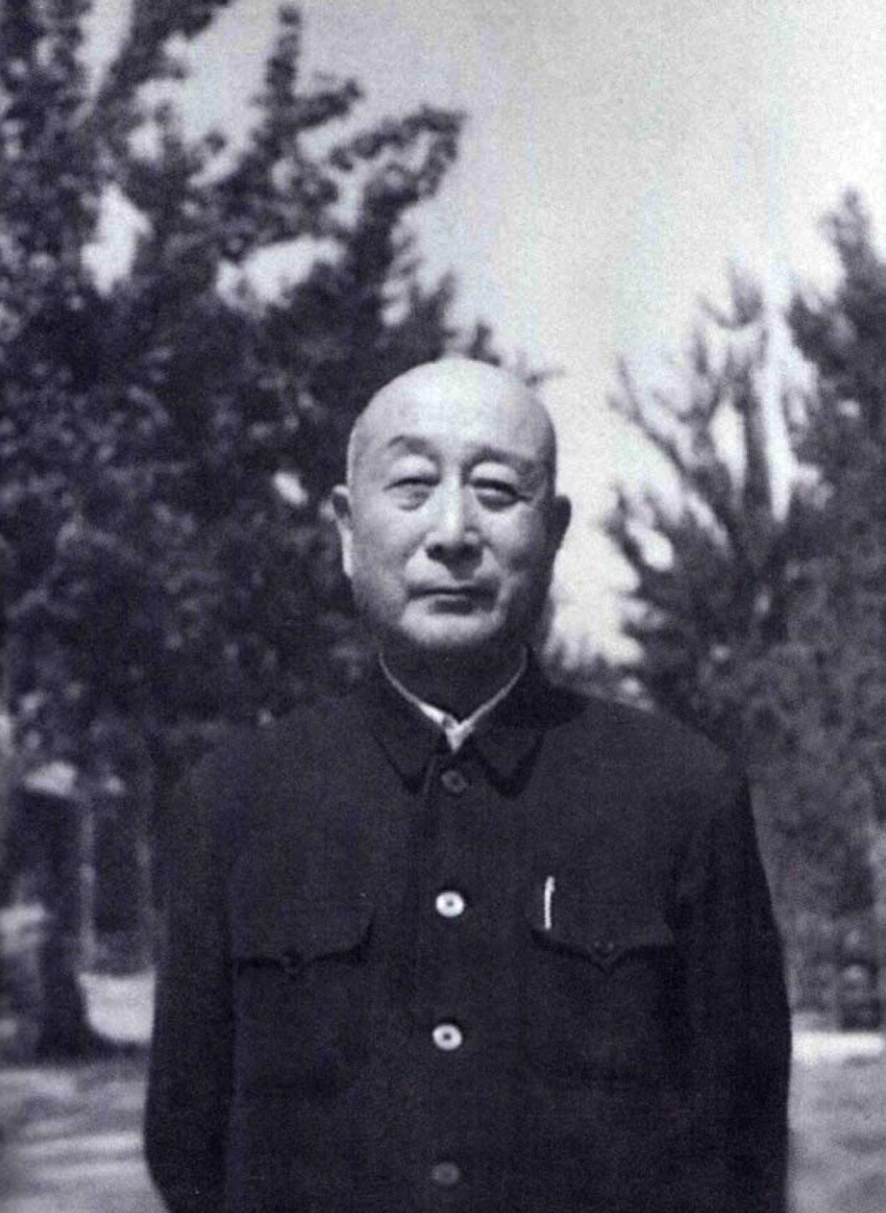 辽宁男篮全军覆没，深度剖析与反思，辽宁男篮全军覆没，深度分析与反思