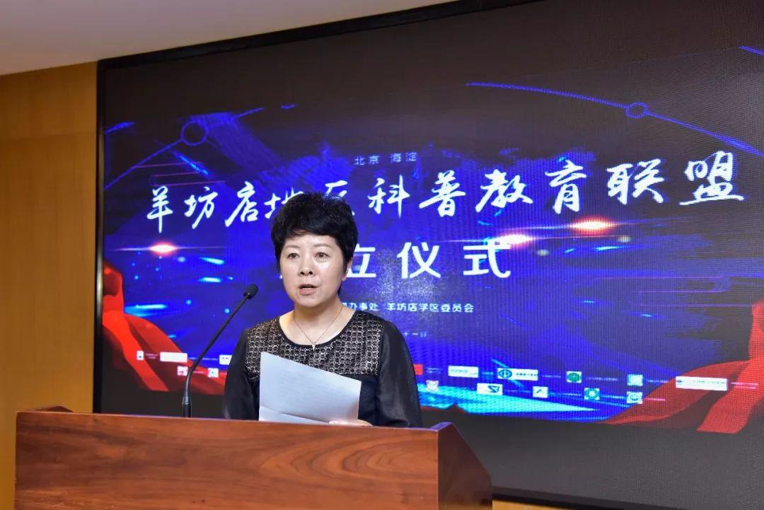 深度探讨与分析