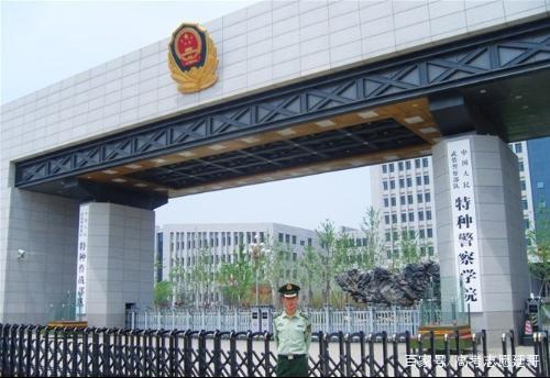 特警专业大学概览，特警专业大学深度解析