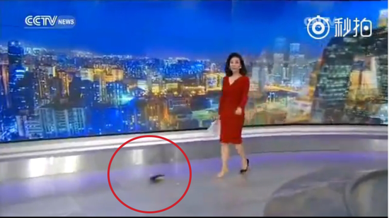 最近CCTV4新闻女主播的风采与影响力，CCTV4新闻女主播的魅力与影响力