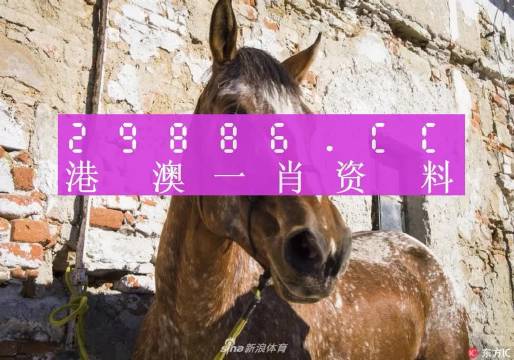 王中王资料一肖中马，探寻背后的故事与奥秘，探寻王中王资料背后的故事与奥秘，一肖中马揭秘真相