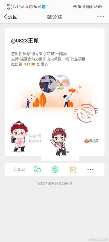 王中王公布一肖，揭秘背后的故事与深意，揭秘王中王公布一肖背后的故事与深意