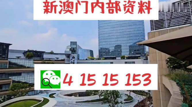 新澳一码资料，深度解析与应用前景，新澳一码资料深度解析与应用前景展望