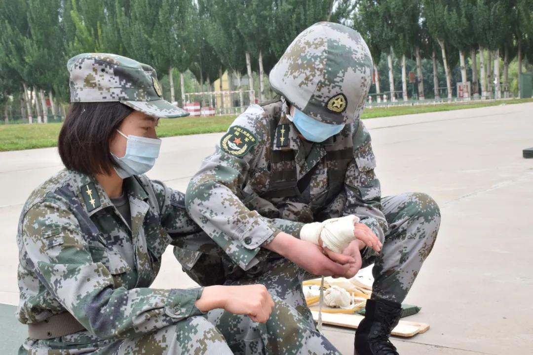 女兵综合素质考评内容与标准,女兵综合素质考评内容与标准的全面解析