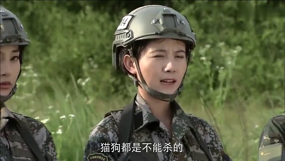 中国第一批女特种兵,勇敢与荣耀的传奇,中国首批女特种兵,勇敢传奇与荣耀之路