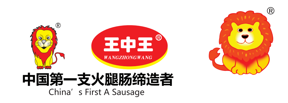 王中王资料一肖中特，深度解析与探讨，王中王资料一肖中特深度解析与探讨
