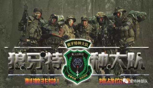 中国特种部队排名之狼牙，中国特种部队排名揭秘，狼牙上榜