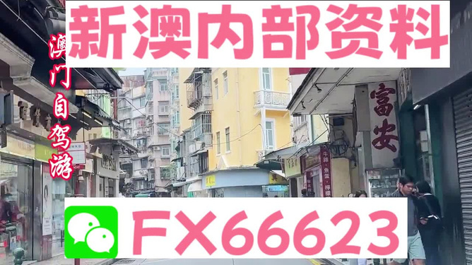 新澳精准资料，免费提供的力量与价值，新澳精准资料，免费提供的力量与价值的体现