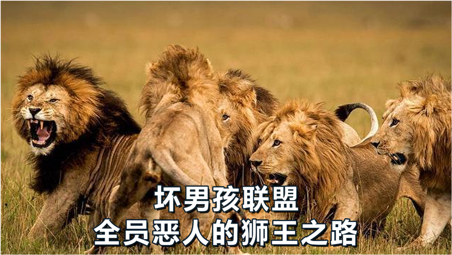 揭开神秘面纱，王中王四不像图中一肖的奥秘，揭开神秘面纱，王中王四不像图中的奥秘揭秘一肖的真相