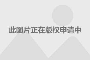 解析96式主战坦克为何能大量服役，揭秘，为何96式主战坦克能广泛服役的秘诀